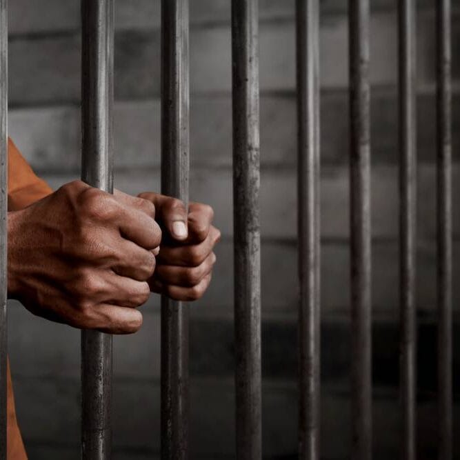 Criminal Courts1 667x6671 1